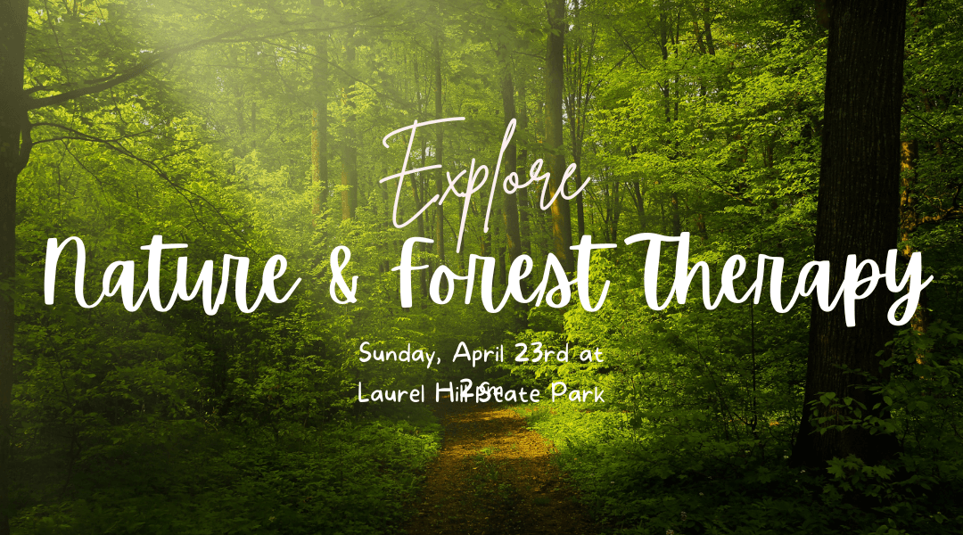 What is Nature & Forest Therapy???