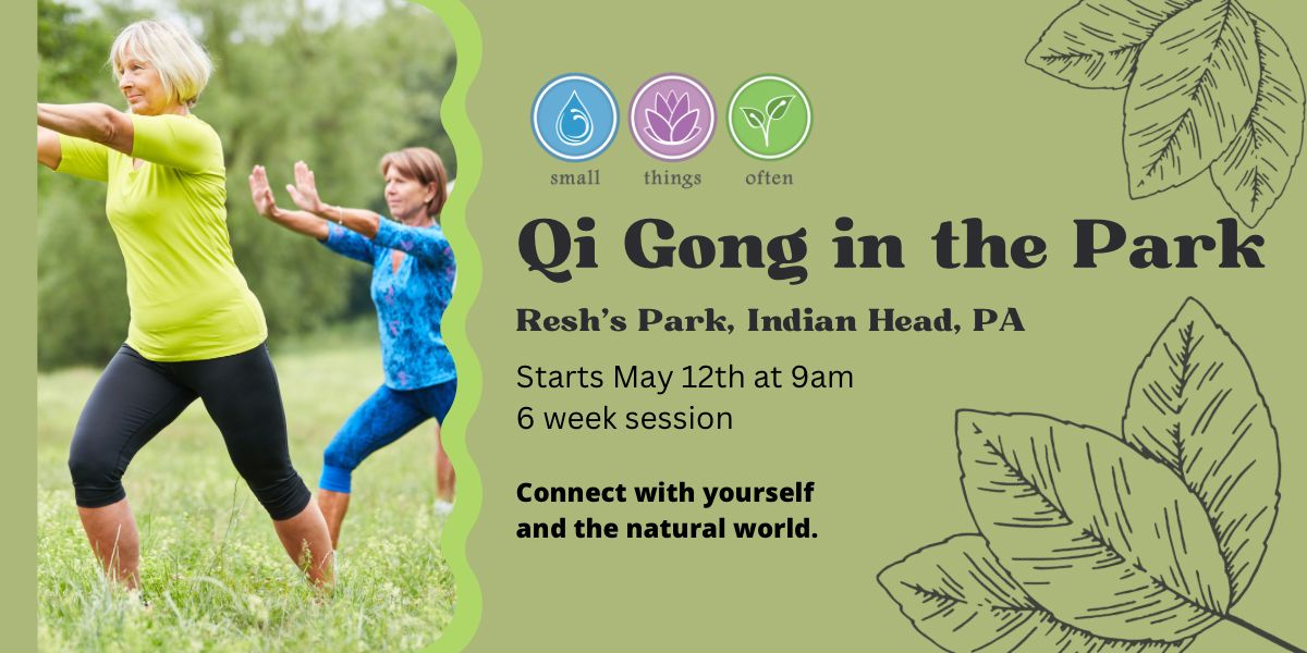 Qi Gong In The Park
