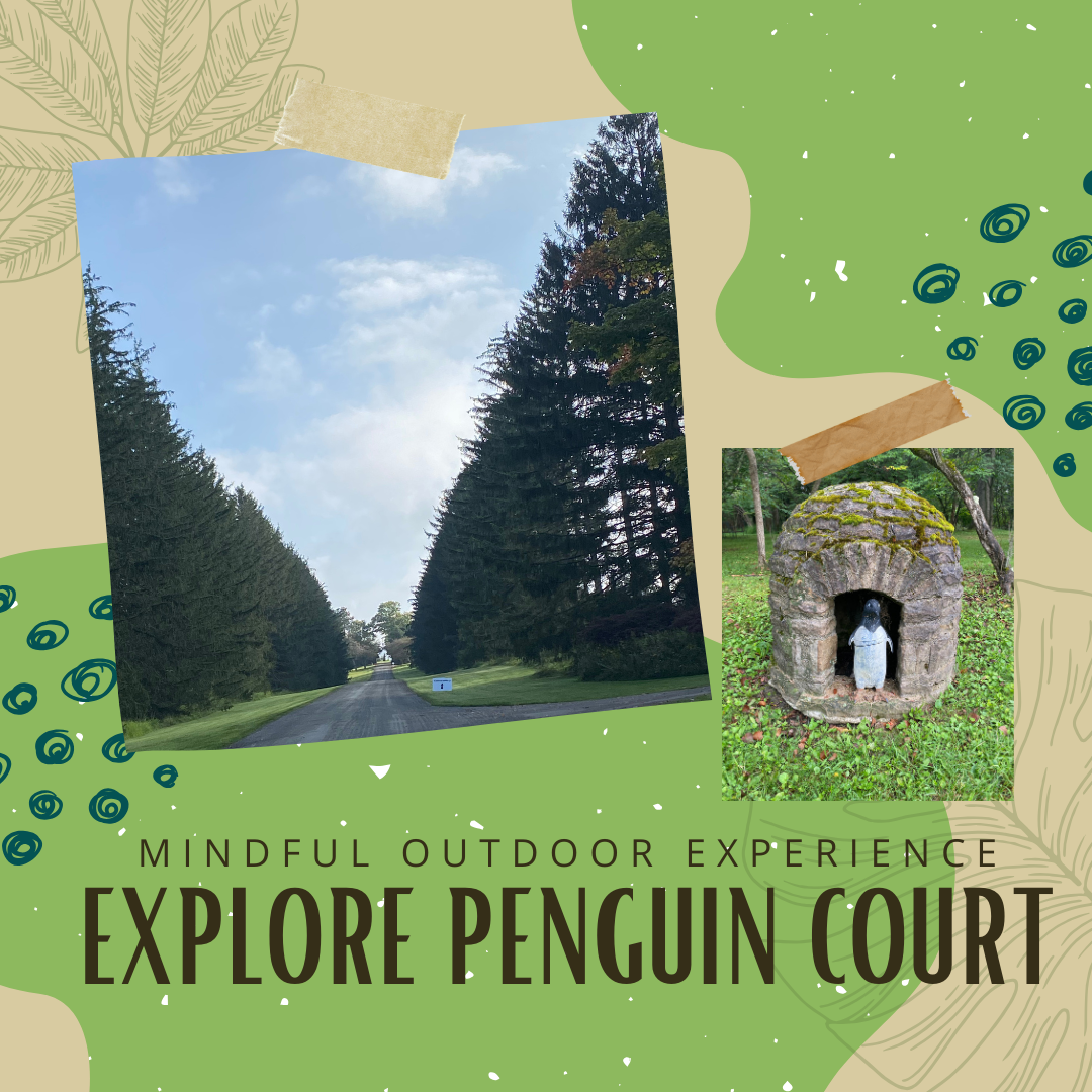 Explore Penguin Court